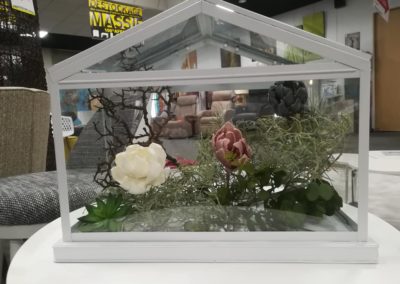 Composition serre d’intérieur