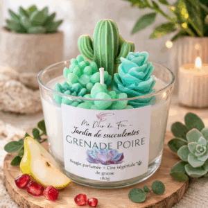 Jardin de succulente